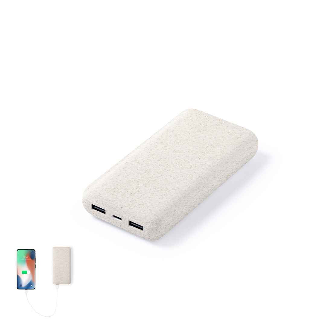 Golblum External Battery – Sustainable Power Solution for Irish Businesses