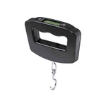 Niben Digital Scale – Reliable Bulk Orders for Irish Businesses