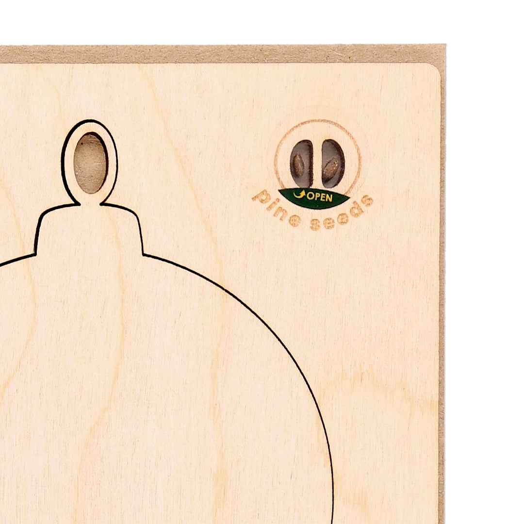 Astrox Sustainable Christmas Card Set - Eco-Friendly Seasonal Greetings