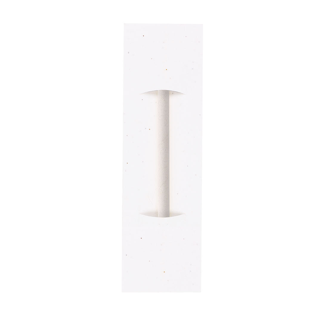 Stauton Recycled Pencil with Seed Paper Case – Sustainable Writing Solution