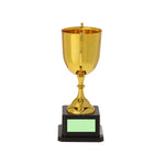 Nynor Trophy – Elegant Golden Finish Award for Bulk Orders | Fou Tees Ireland