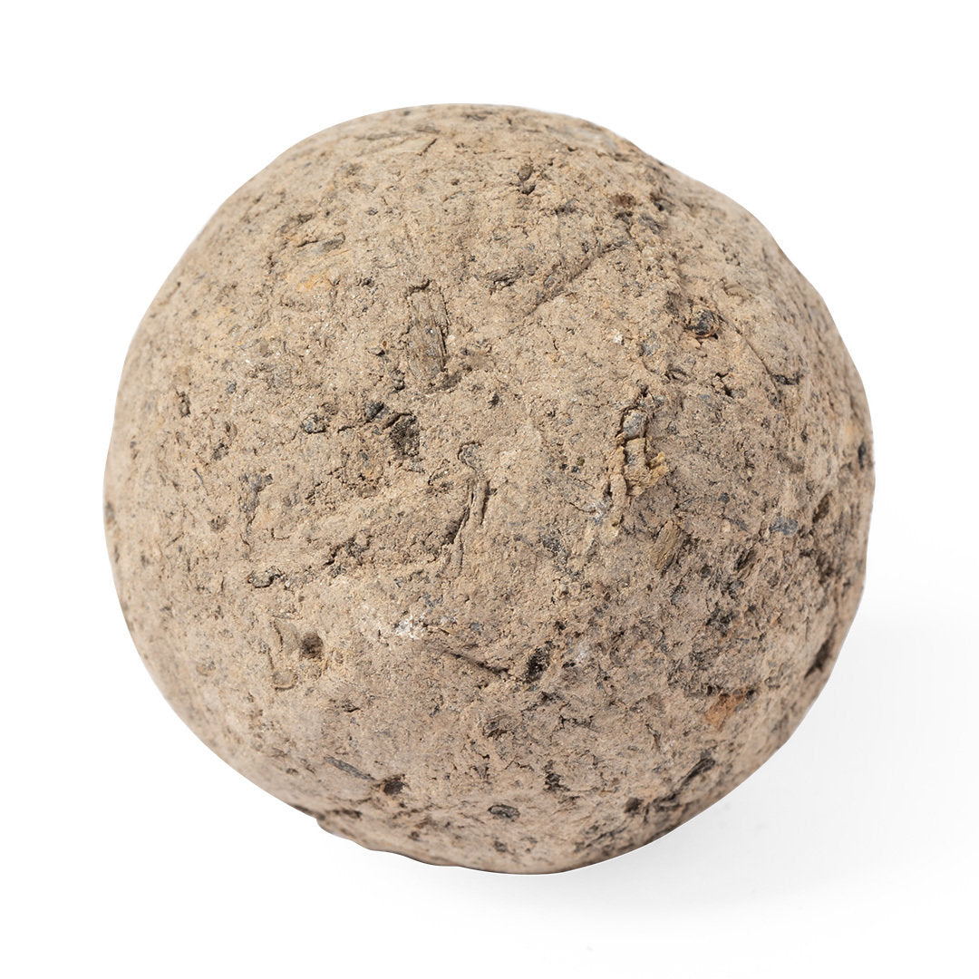 Mussox Seed Balls for Irish Businesses and Events | Fou Tees Ireland