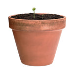 Mussox Seed Balls for Irish Businesses and Events | Fou Tees Ireland
