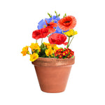 Mussox Seed Balls for Irish Businesses and Events | Fou Tees Ireland