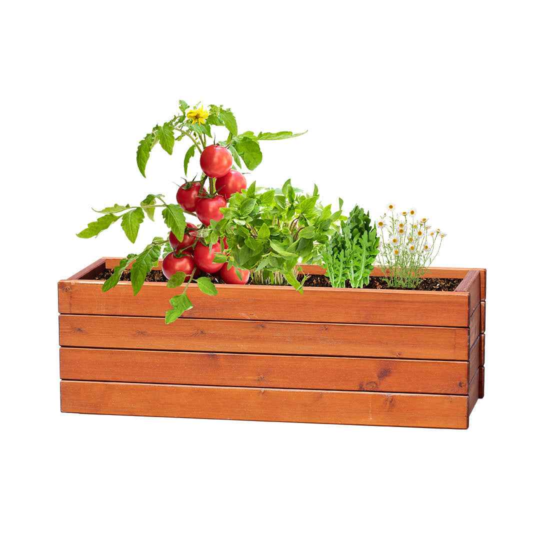 Tomarux Vegetable Garden Kit – Sustainable and Practical Gift for Irish Organisations