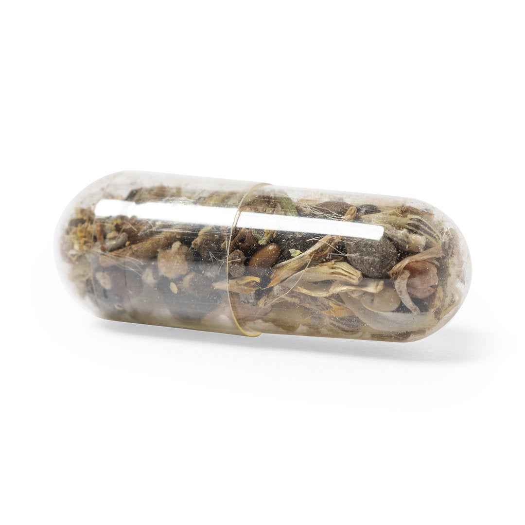 Biyok Seed Capsule – Sustainable Promotional Gift for Irish Businesses