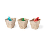 Mendrax Garden Kit – Coriander, Parsley & Basil Seeds in Wooden Case