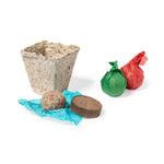 Mendrax Garden Kit – Coriander, Parsley & Basil Seeds in Wooden Case