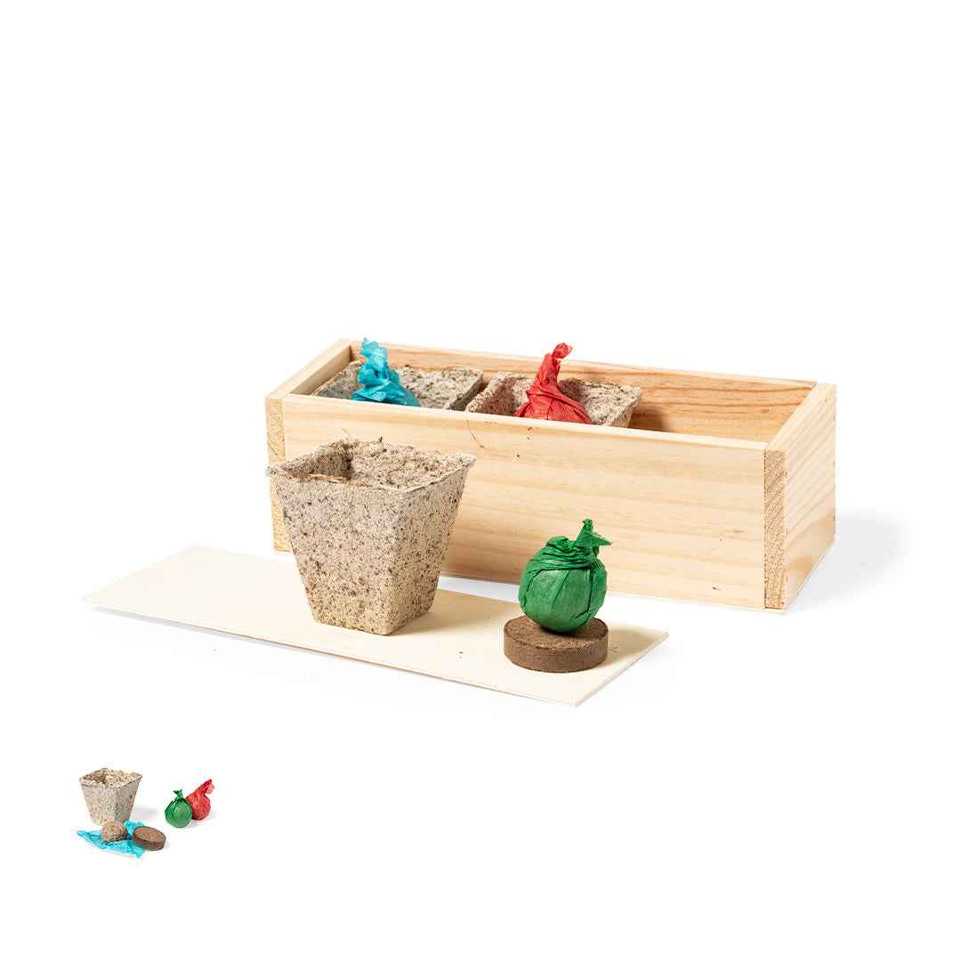 Mendrax Garden Kit – Coriander, Parsley & Basil Seeds in Wooden Case