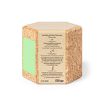 Gulytel Sustainable Plant Pot – Natural Cork Container with Pine Seeds
