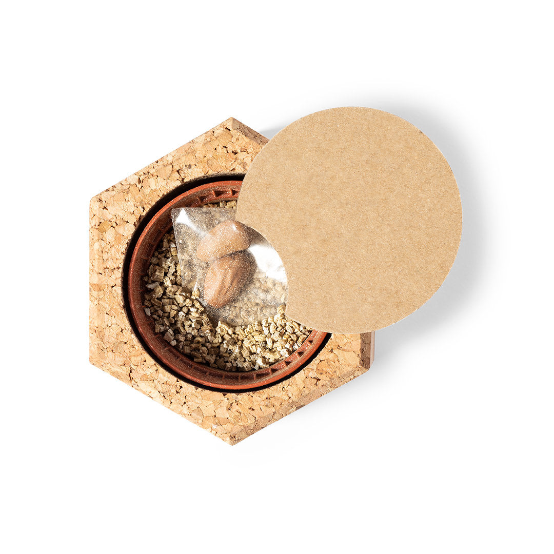 Gulytel Sustainable Plant Pot – Natural Cork Container with Pine Seeds