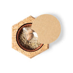 Gulytel Sustainable Plant Pot – Natural Cork Container with Pine Seeds