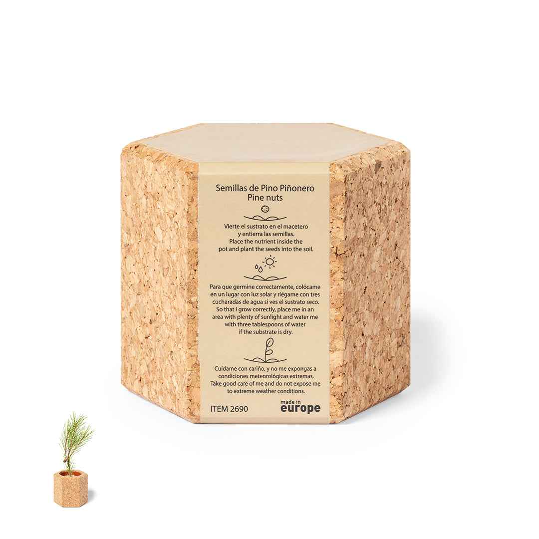 Gulytel Sustainable Plant Pot – Natural Cork Container with Pine Seeds