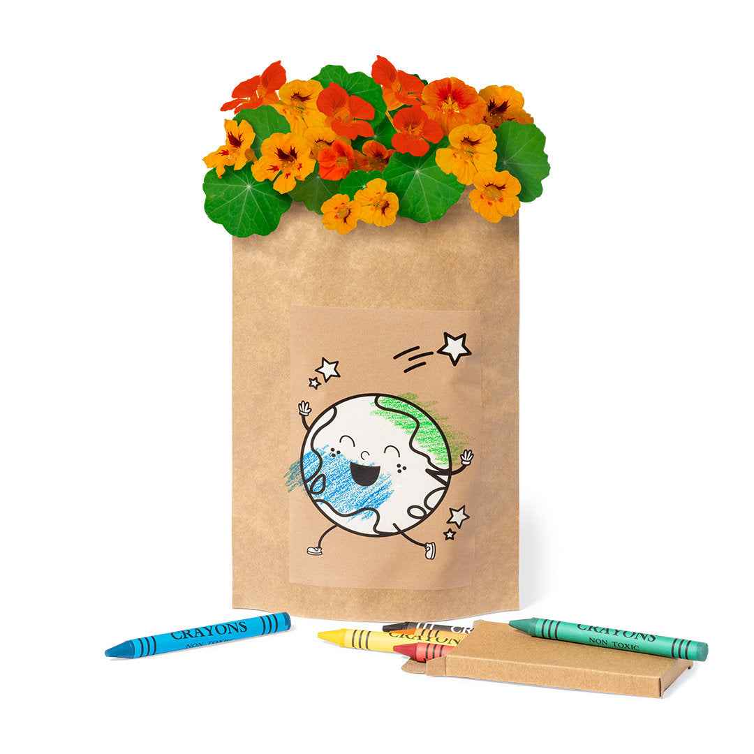 Halors Ecological Gadget – Sustainable Promotional Product for Irish Businesses