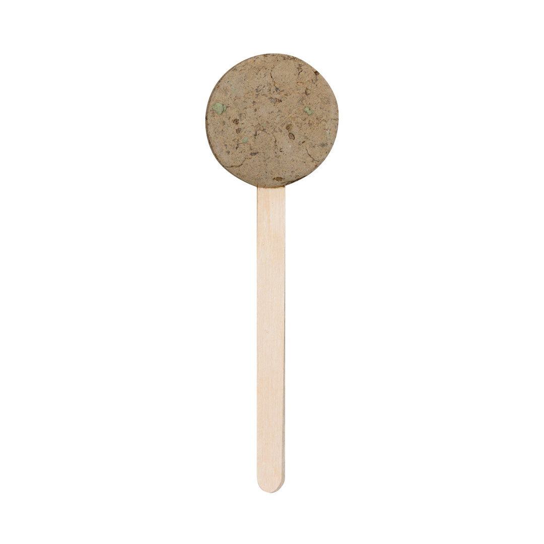Ebeldy Seed Lollipop Wildflowers – Sustainable Promotional Gift