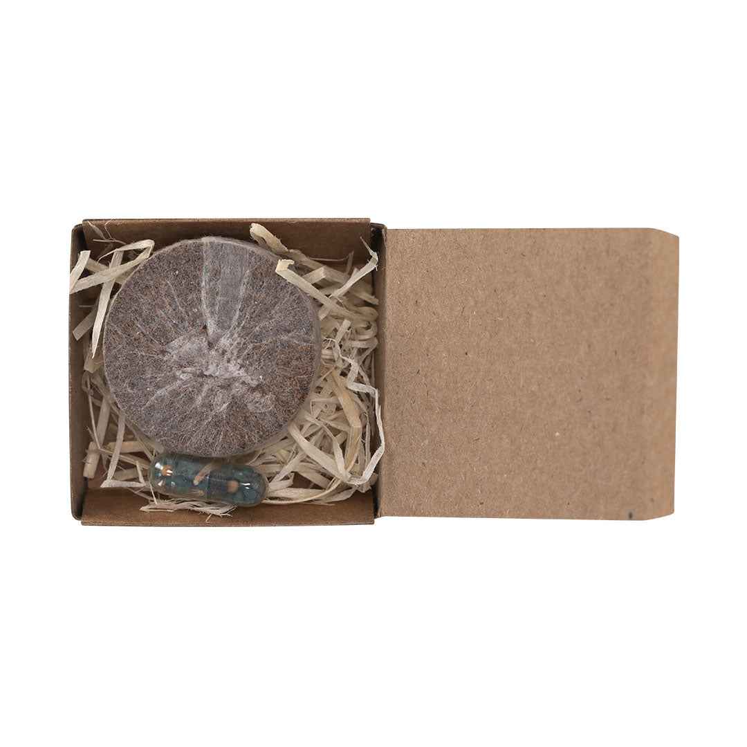 Aquael Plantable Pack – Eco-Friendly Wildflower Seed Kit for Bulk Orders