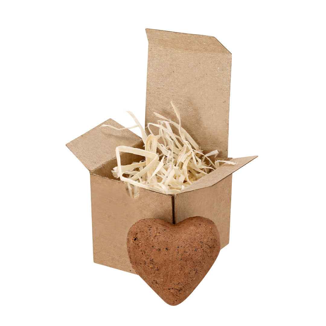 Fobin Wildflower Seed Chocolate Box – Eco-Friendly Promotional Gift
