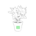 Nertel Sustainable Pots - Peppermint & Parsley Growing Set