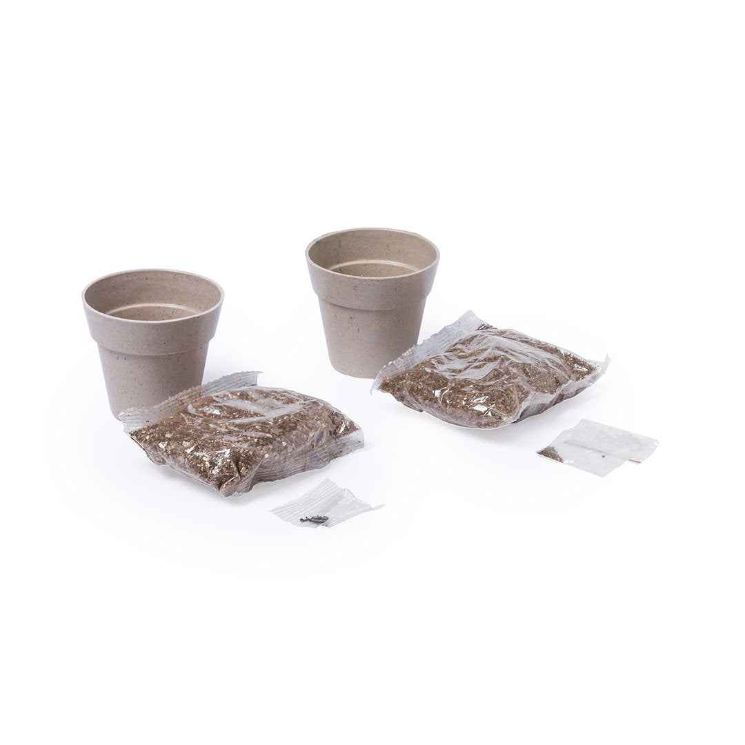 Nertel Sustainable Pots - Peppermint & Parsley Growing Set