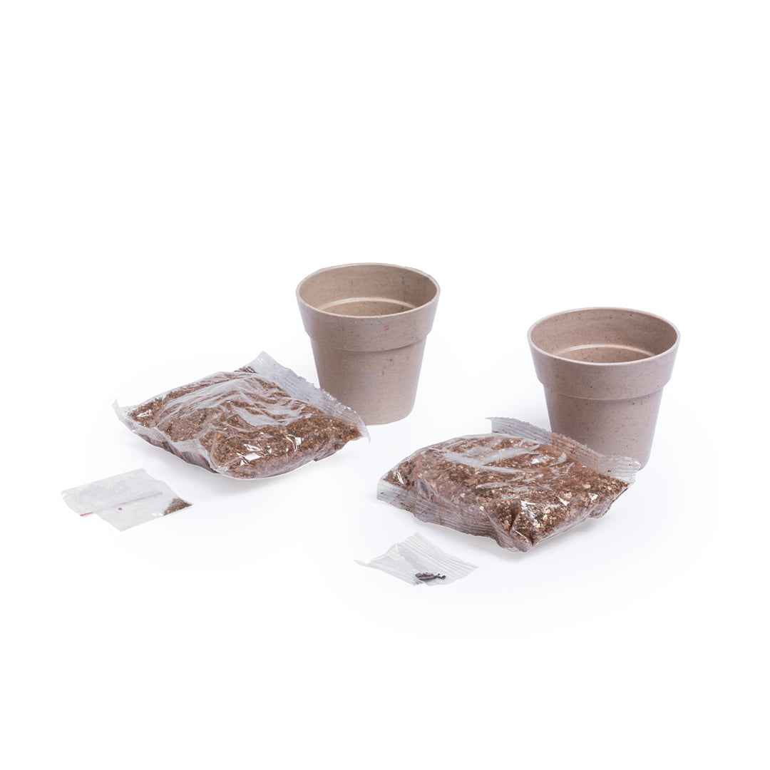 Nertel Sustainable Pots - Peppermint & Parsley Growing Set