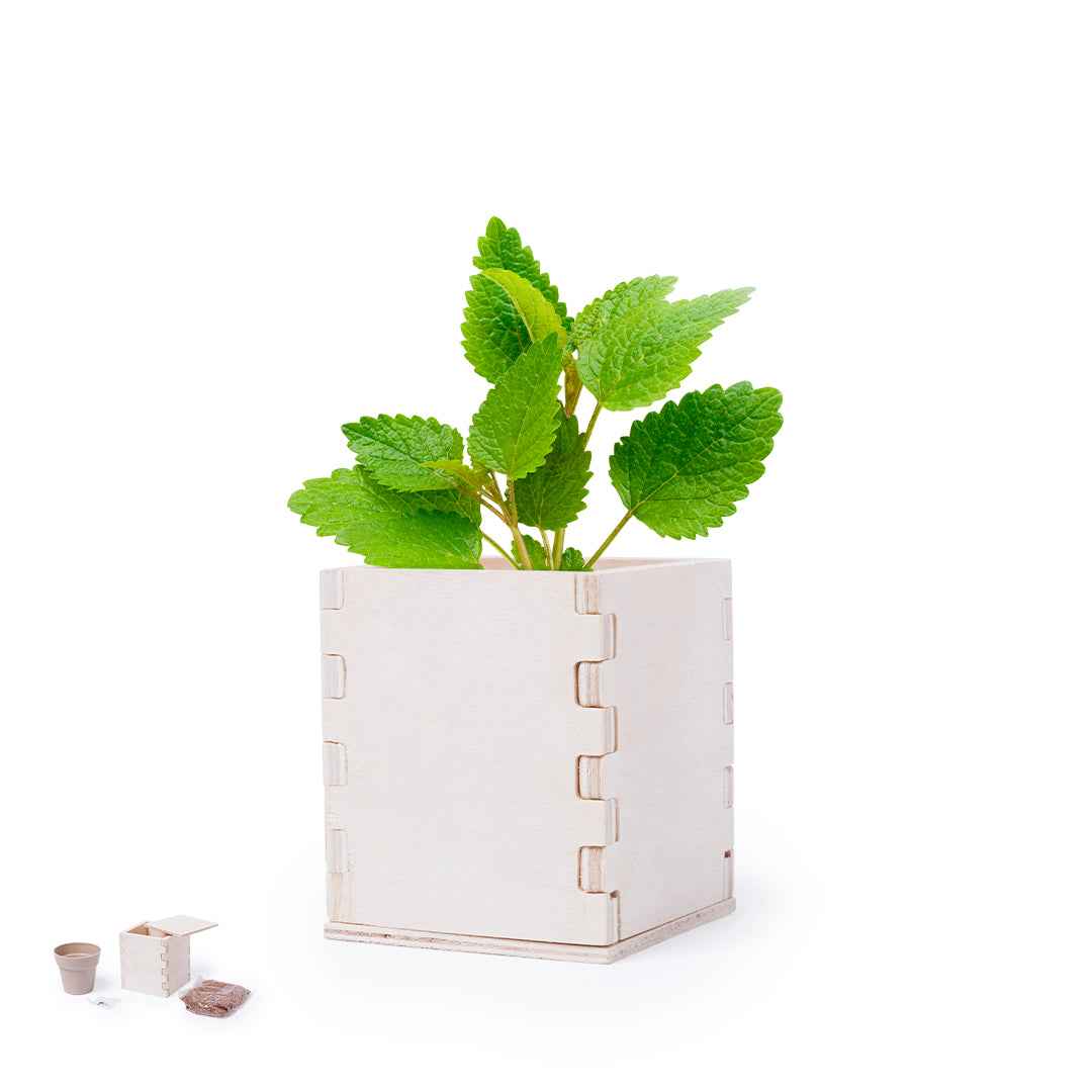 Merin Sustainable Gift – Eco-Friendly Promotional Product for Irish Businesses