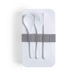 Fandex Antibacterial Lunch Box – Durable and Hygienic Food Storage