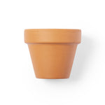 Soltax Pot with Petunia Flowers – Sustainable Gift from Fou Tees Ireland