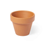 Soltax Pot with Petunia Flowers – Sustainable Gift from Fou Tees Ireland