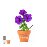 Soltax Pot with Petunia Flowers – Sustainable Gift from Fou Tees Ireland