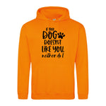 If my dog doesn't like you neither do I - Hoodie - Fou Tees