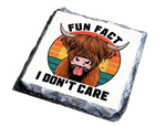 Fun Fact I Don't Care - Slate Coaster | Natural Slate Coaster by Fou Tees