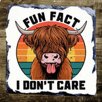Fun Fact I Don't Care - Slate Coaster | Natural Slate Coaster by Fou Tees