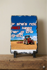If She's Not Red Keep Her In The Shed - Slate