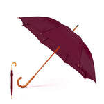 Santy Umbrella – Stylish and Practical Rain Protection for Irish Businesses