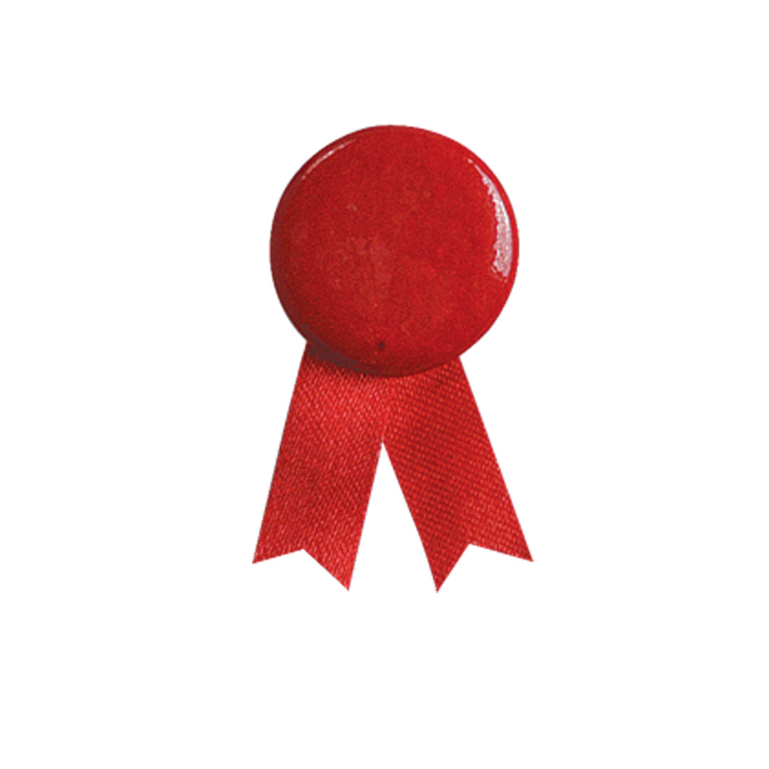 Solidario Ribbon Pin – Quality Promotional Accessory from Fou Tees Ireland