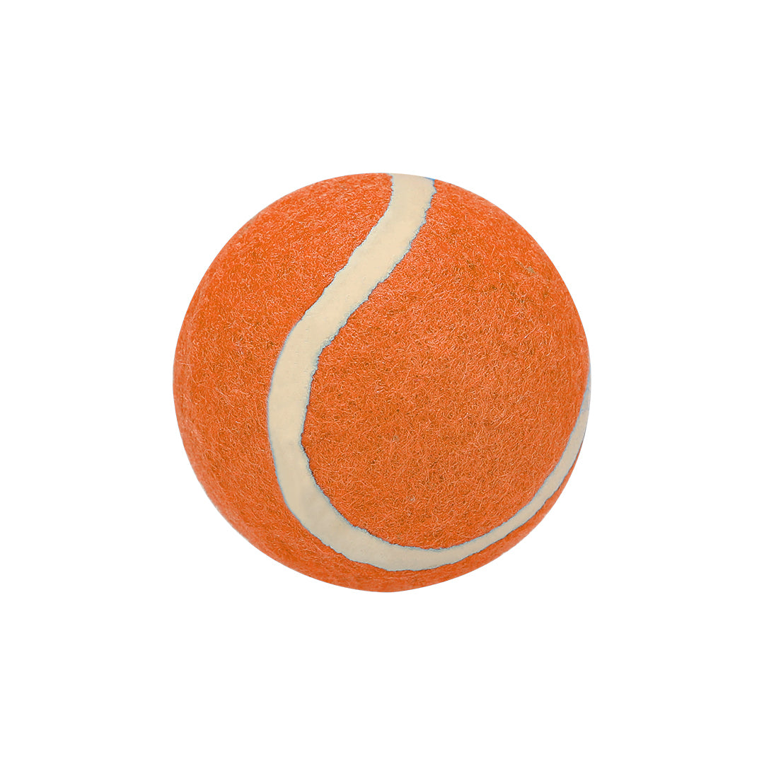 Niki Pet Ball – Durable Rubber Toy for Pets