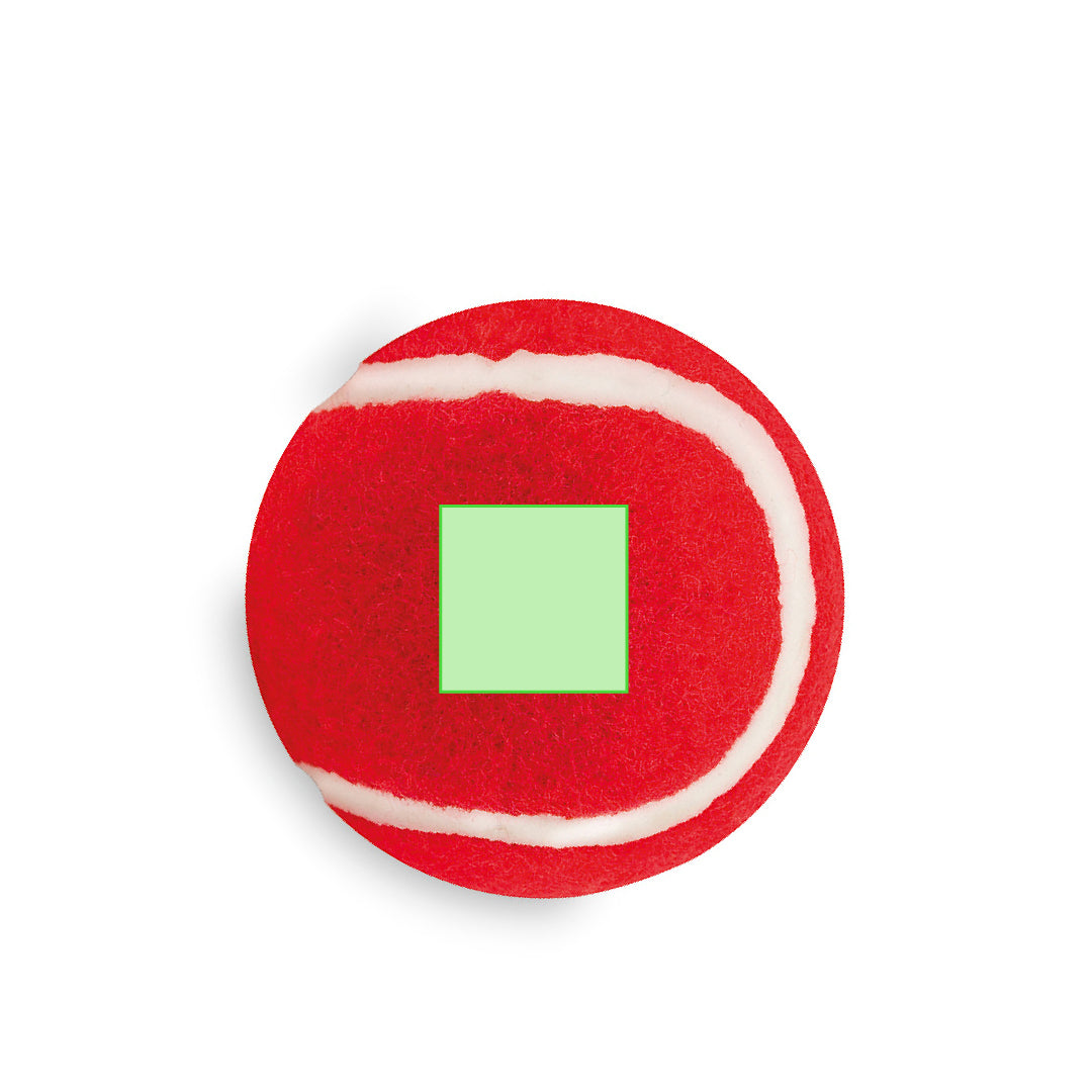 Niki Pet Ball – Durable Rubber Toy for Pets