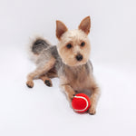Niki Pet Ball – Durable Rubber Toy for Pets