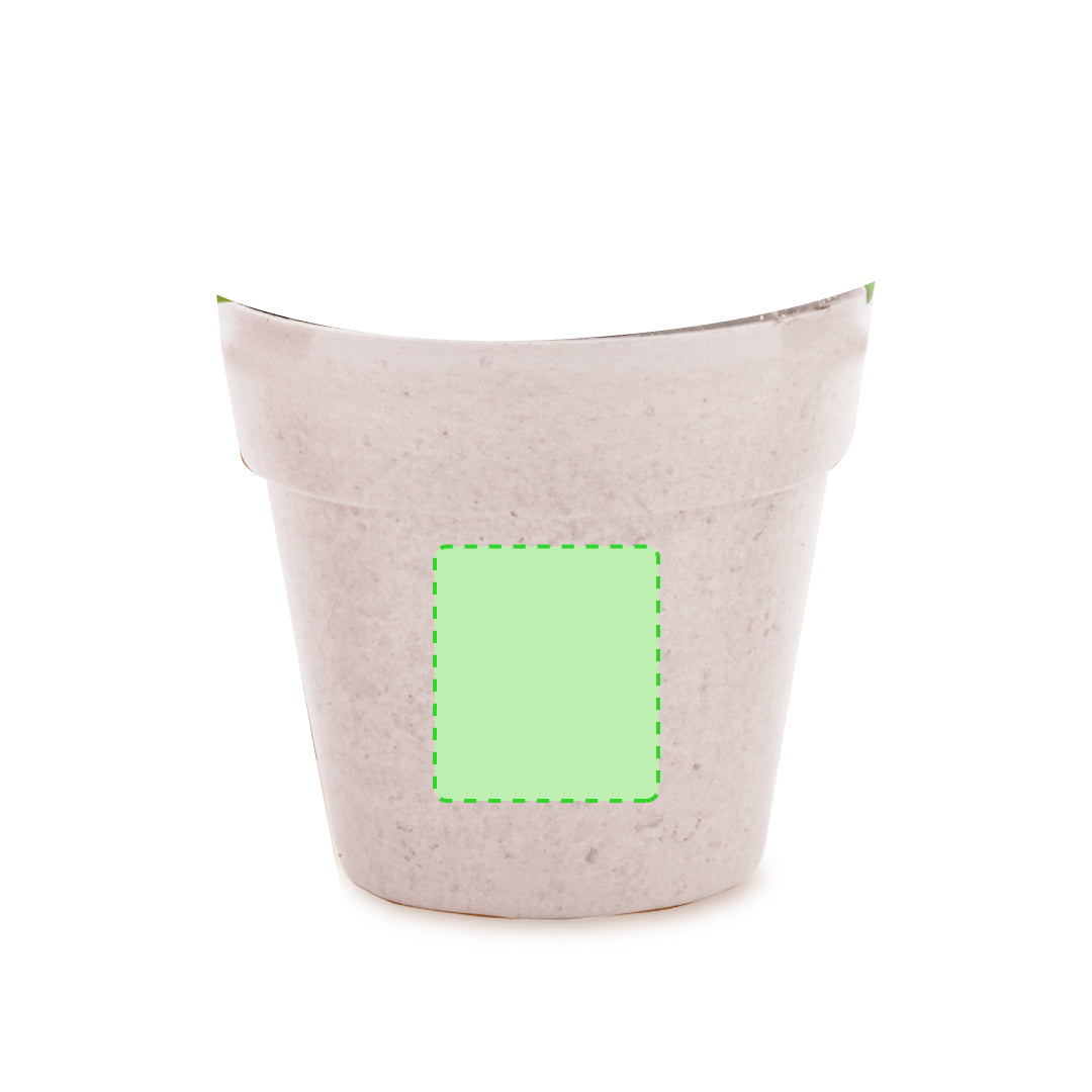 Nature Line Pot with Petunia Seeds – Sustainable Gifts from Fou Tees Ireland