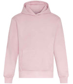 Heavyweight Hoodie for Comfort and Style Baby Pink 3XL