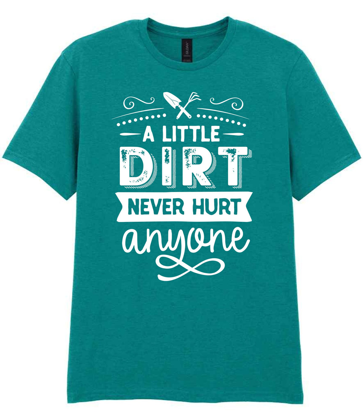 A LITTLE DIRT NEVER HURT Anyone t-shirt in jade dome