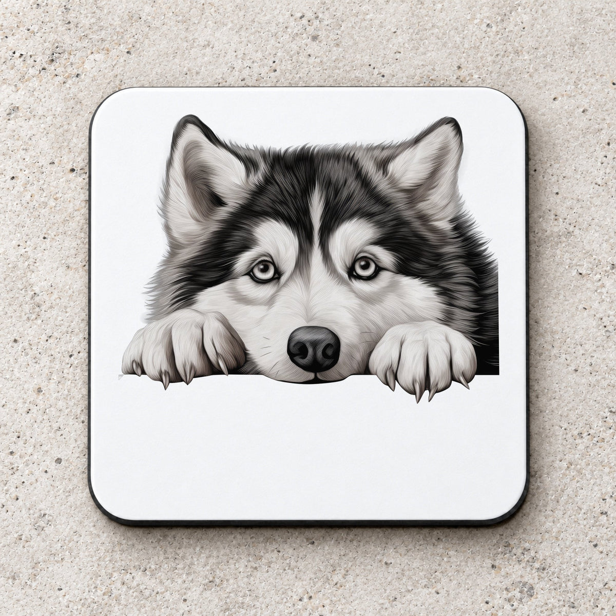 Alaskan Malamute Face coaster in white