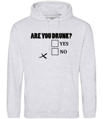 Are You Drunk? Yes No hoodie in ash