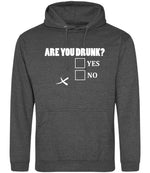 Are You Drunk? Yes No hoodie in charcoal