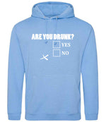 Are You Drunk? Yes No hoodie in cornflower blue