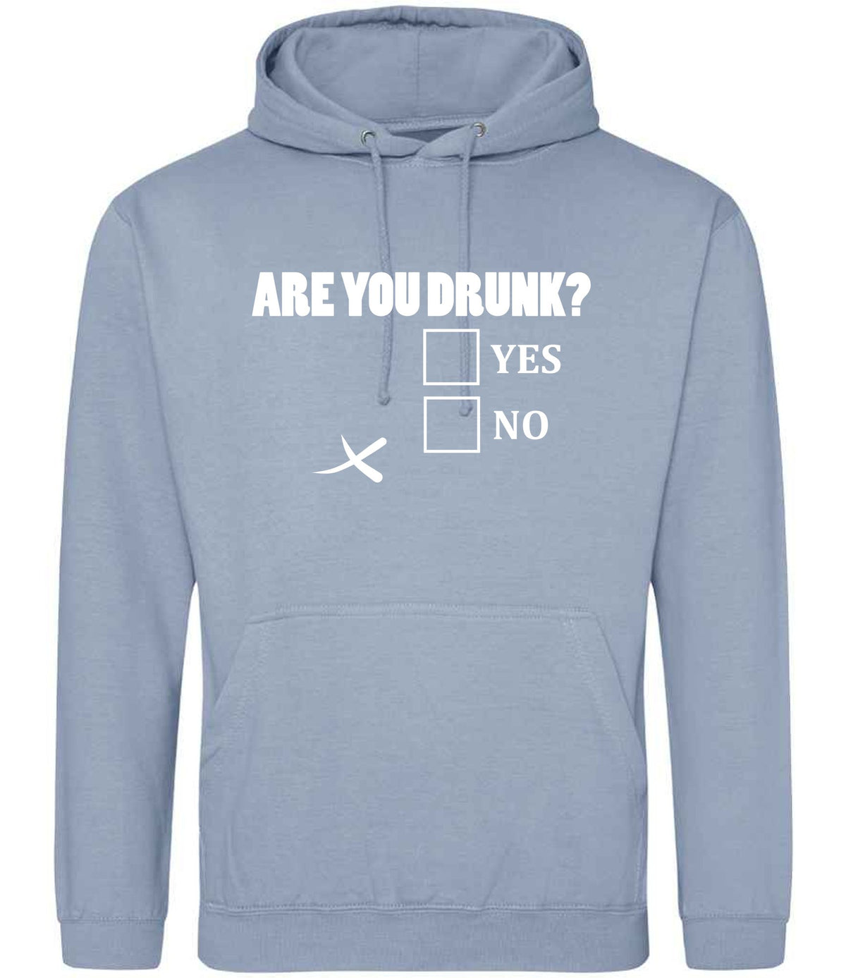 Are You Drunk? Yes No hoodie in dusty blue
