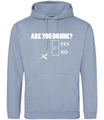 Are You Drunk? Yes No hoodie in dusty blue