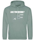 Are You Drunk? Yes No hoodie in dusty green
