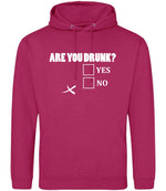 Are You Drunk? Yes No hoodie in hot pink