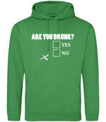 Are You Drunk? Yes No hoodie in kelly green